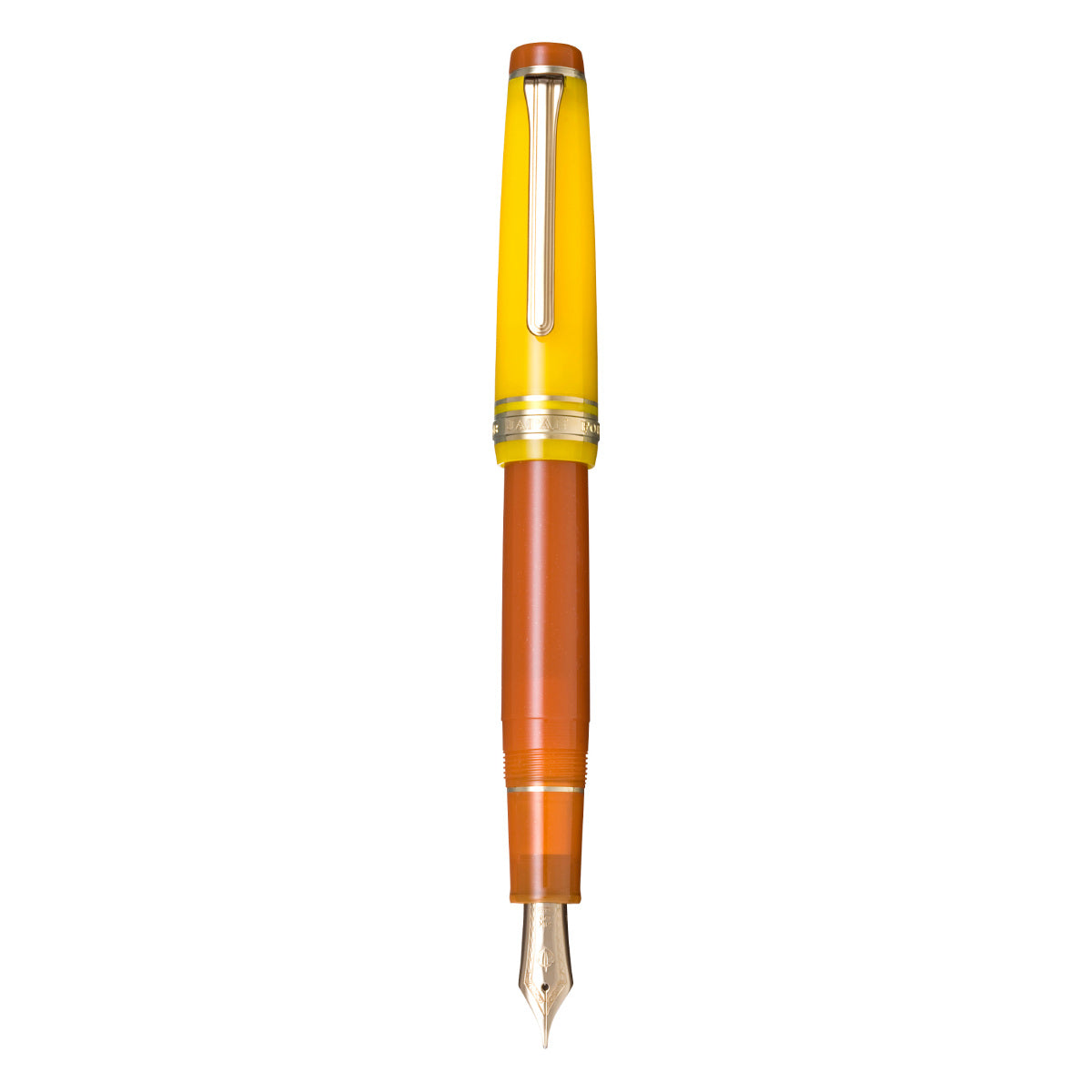Sailor Pro Gear fountain pen - Moonlight over the Ocean