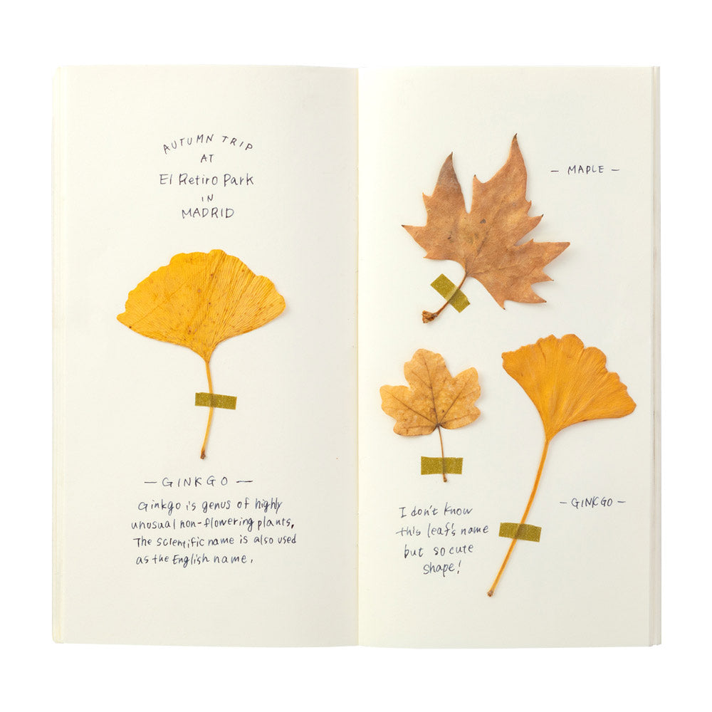 Traveler's Notebook Company - Midori Paper Refill Cream (025)