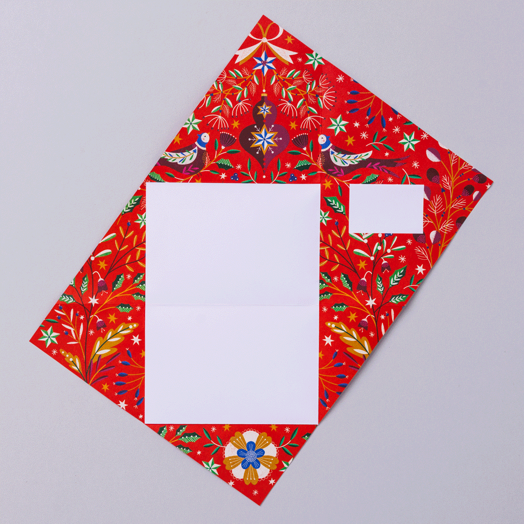 Pigeon - Festive Holiday Letter