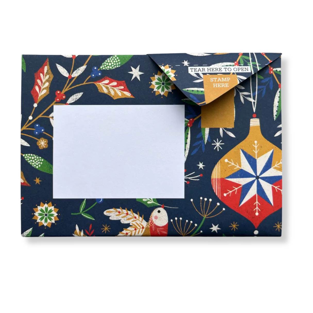 Pigeon - Festive Holiday Letter