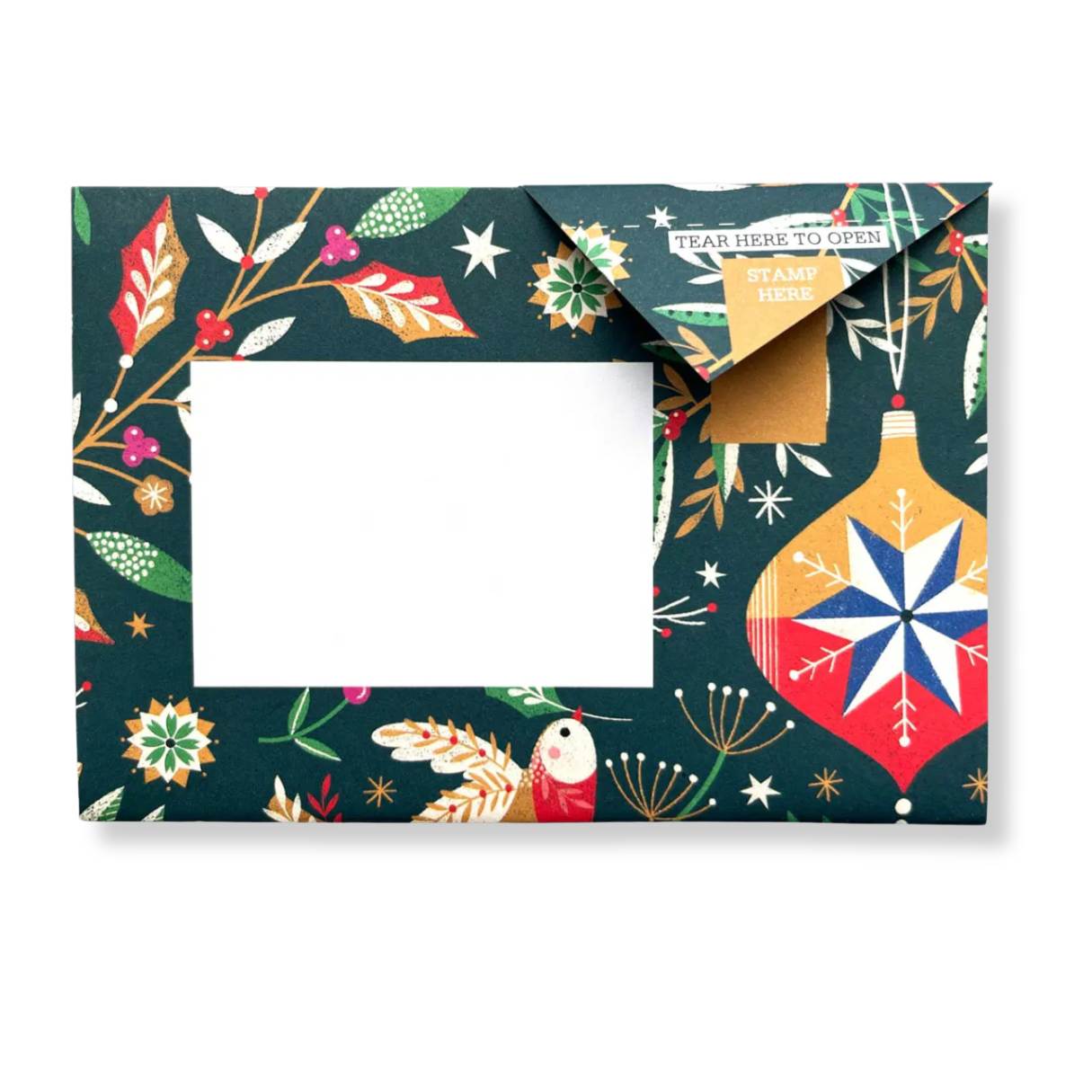 Pigeon - Festive Holiday Letter