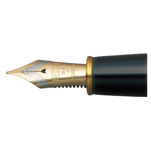 Platinum Izumo fountain pen Tame-Nuri Biwa