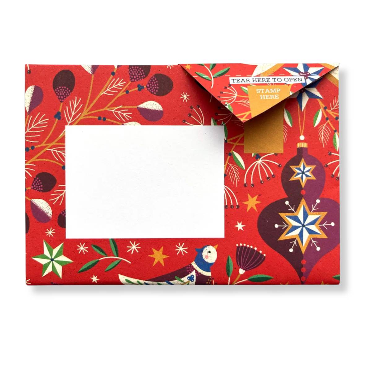 Pigeon - Festive Holiday Letter