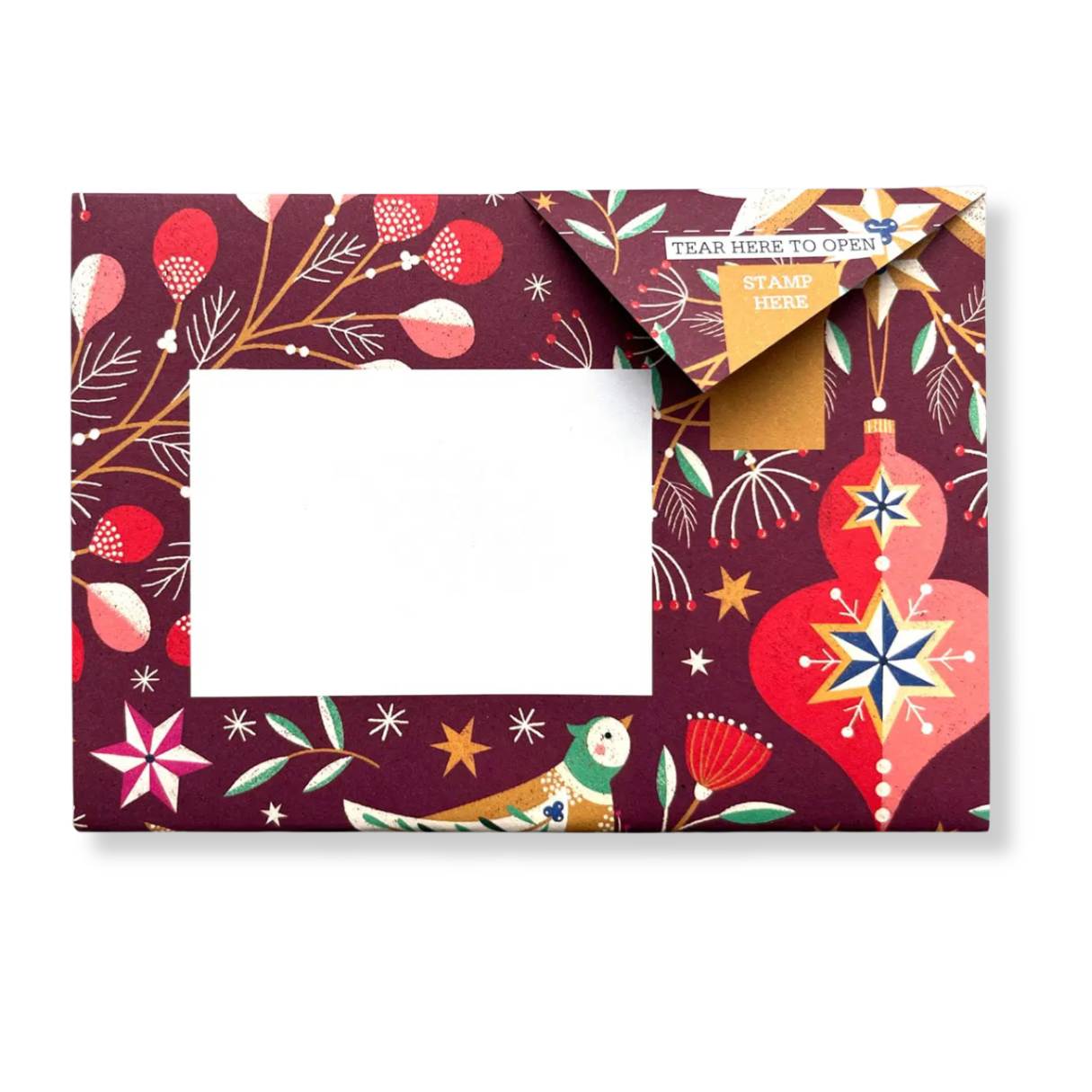 Pigeon - Festive Holiday Letter