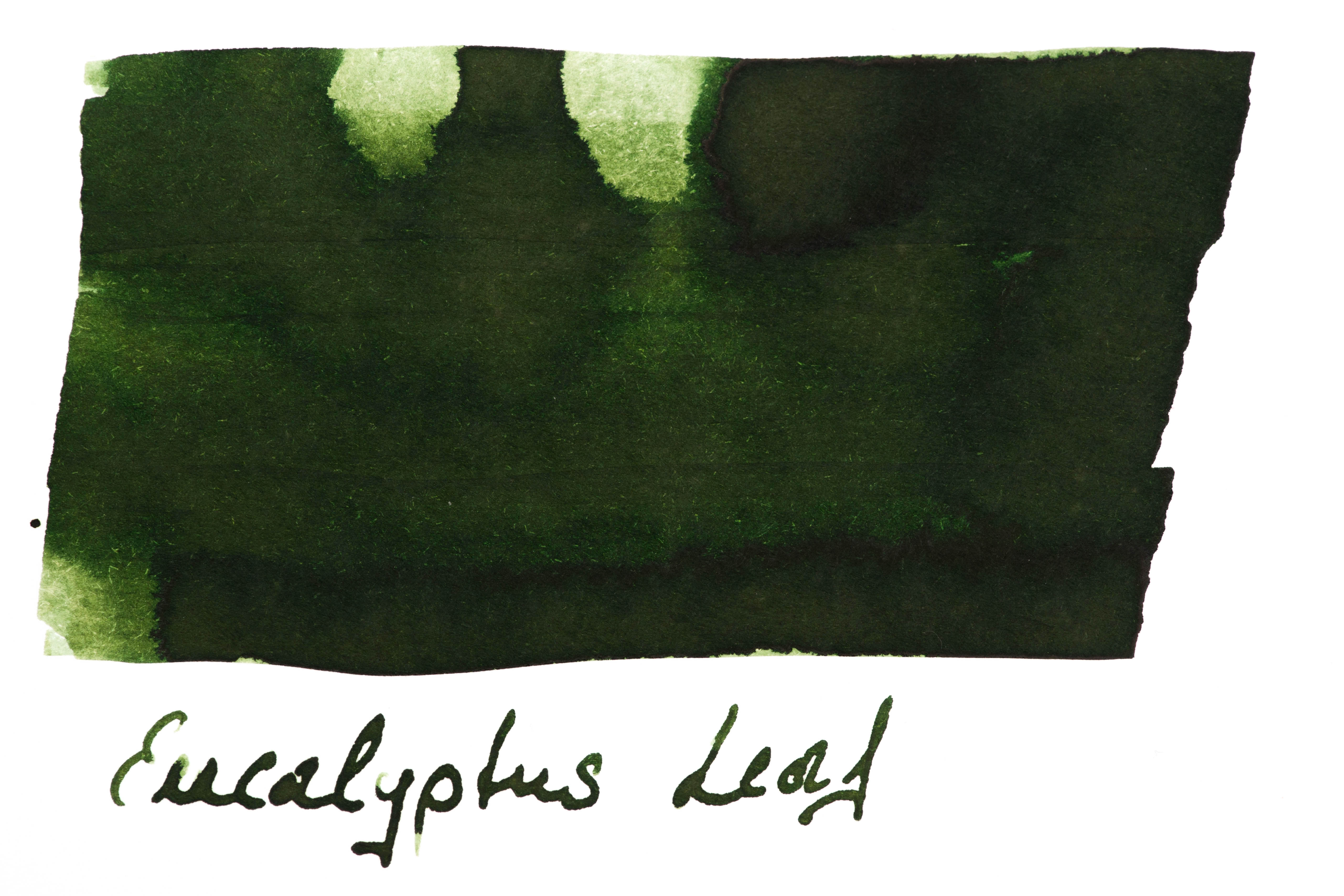 Robert Oster - Eucalyptus Leaf