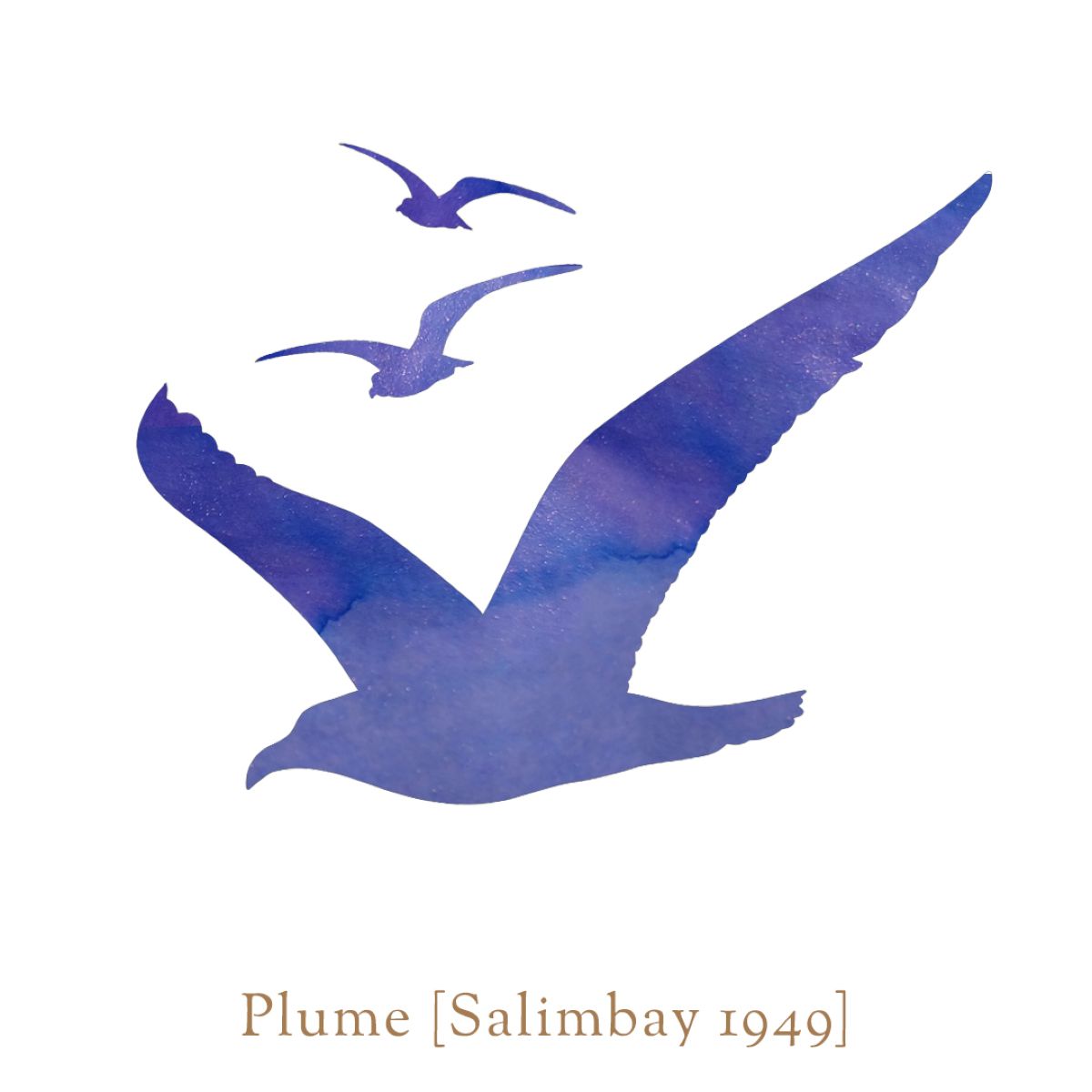 Vinta Inks - Plume (Salimbay 1949)